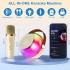 BONAOK Mini Karaoke Machine, Portable Karaoke Speaker for Adults and Kids with Dazzling Lights and 2 Wireless Microphones, Karaoke Microphones Gifts for Girls, Boys